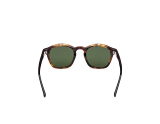 Rear view Web Eyewear WE0384 (55N)