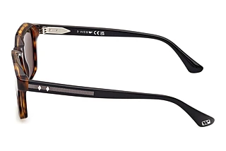 Side view Web Eyewear WE0385 (55N)