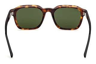 Rear view Web Eyewear WE0385 (55N)