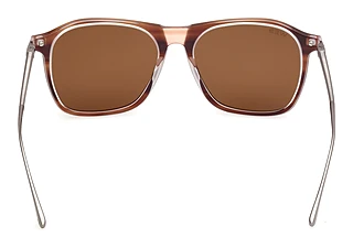 Rear view Web Eyewear WE0386 (56E)