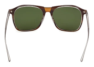 Rear view Web Eyewear WE0386 (56N)