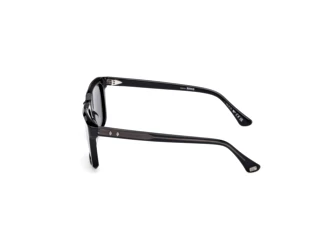 Side view Web Eyewear WE0388 (01A)