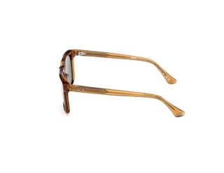 Side view Web Eyewear WE0388 (39N)