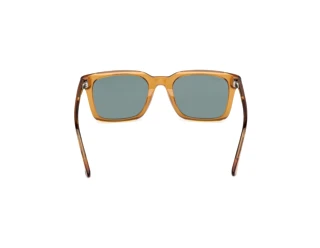 Rear view Web Eyewear WE0388 (39N)