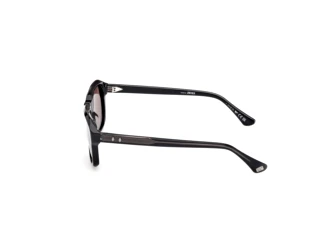 Side view Web Eyewear WE0389 (01E)