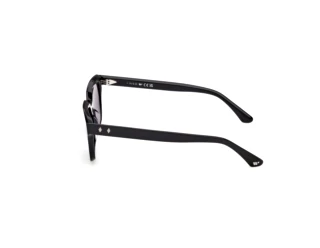 Side view Web Eyewear WE0391 (01A)