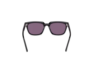 Rear view Web Eyewear WE0391 (01A)