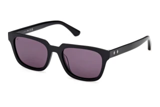 Front view Web Eyewear WE0391 (01A)