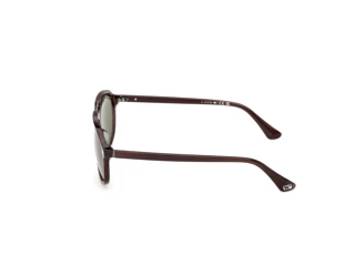Side view Web Eyewear WE0394 (56N)