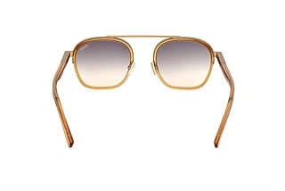 Rear view Zegna EZ0231 (39K)