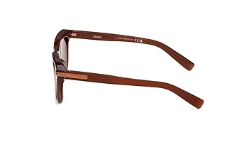 Side view Zegna EZ0269 (50E)