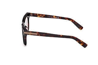 Side view Zegna EZ0270 (55E)