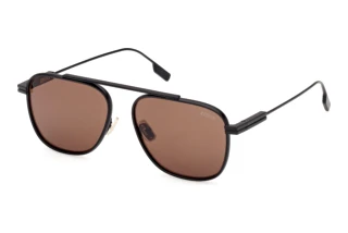 Front view Zegna EZ0291 (02E)