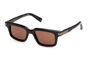 Front view Zegna EZ0312 (01E)
