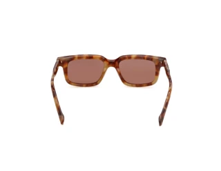Rear view Zegna EZ0312 (55E)