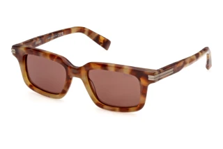 Front view Zegna EZ0312 (55E)