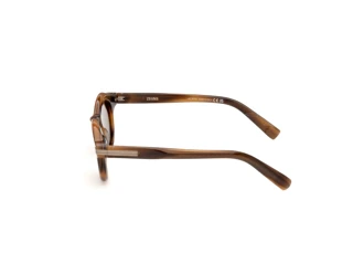 Side view Zegna EZ0313 (50E)