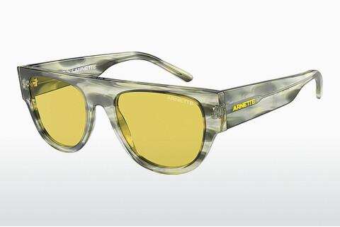 Sunglasses Arnette GTO (AN4293 121685)