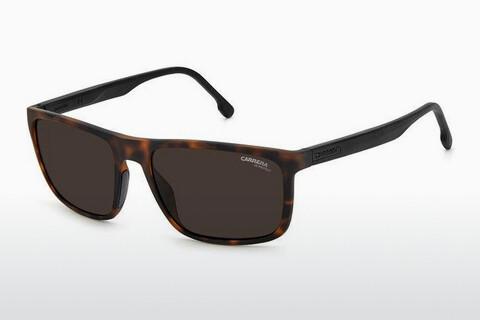 Sunglasses Carrera CARRERA 8047/S N9P/70