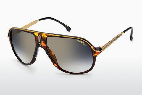 Sunglasses Carrera SAFARI65/N 086/1V