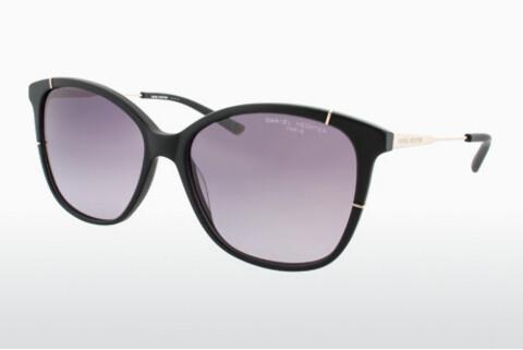 Sunglasses Daniel Hechter DHES309 1