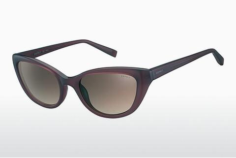 Sunglasses Esprit ET40002 577