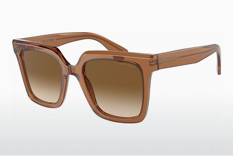 Sunglasses Giorgio Armani AR8156 593251