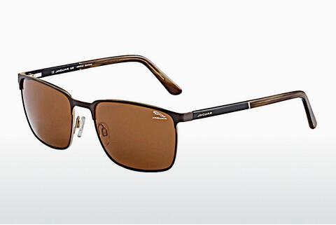 Sunglasses Jaguar 37355 5100