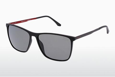 Sunglasses Jaguar 37612 6100