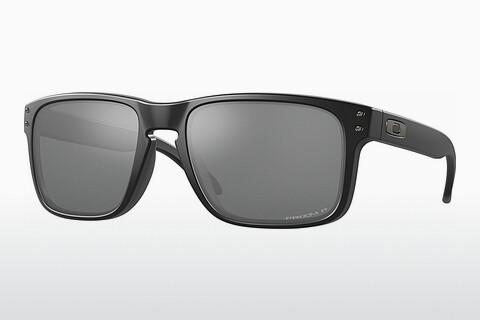 Sunglasses Oakley HOLBROOK (OO9102 9102D6)