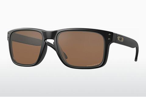 Sunglasses Oakley HOLBROOK (OO9102 9102D7)