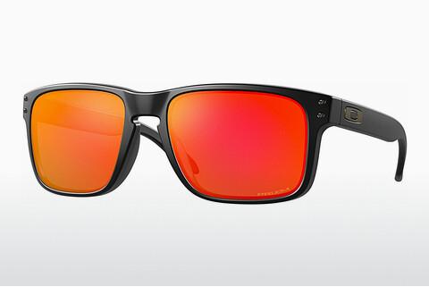 Sunglasses Oakley HOLBROOK (OO9102 9102E2)