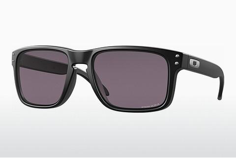 Sunglasses Oakley HOLBROOK (OO9102 9102E8)
