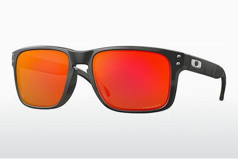 Sunglasses Oakley HOLBROOK (OO9102 9102E9)