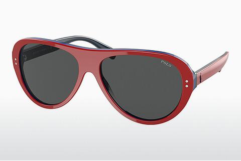 Sunglasses Polo PH4178 599387