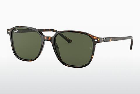 Sunglasses Ray-Ban LEONARD (RB2193 902/31)