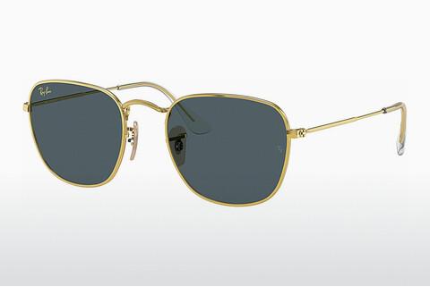 Sunglasses Ray-Ban FRANK (RB3857 9196R5)