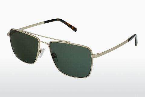 Sunglasses Rocco by Rodenstock RR104 B