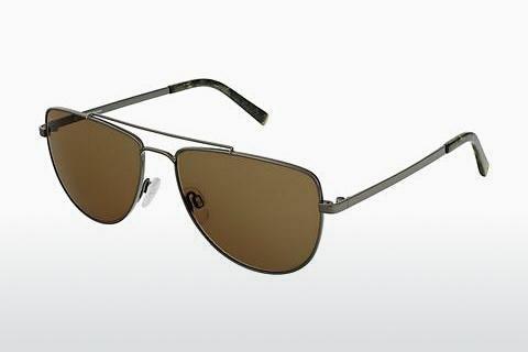 Sunglasses Rocco by Rodenstock RR105 D