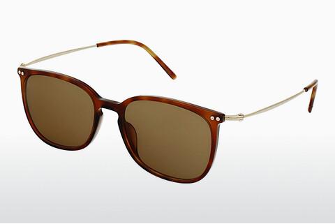 Sunglasses Rodenstock R3306 D