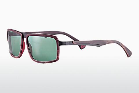 Sunglasses Strellson ST4035 200