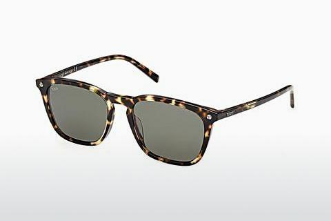 Sunglasses Tod's TO0335 53N
