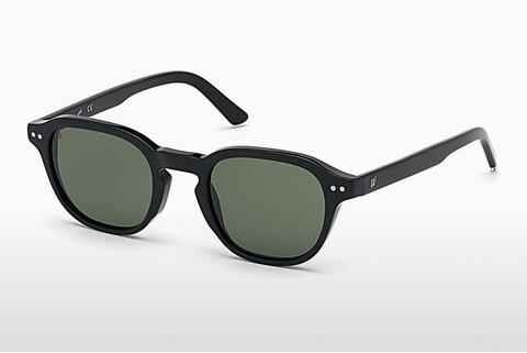 Sunglasses Web Eyewear WE0250 01N
