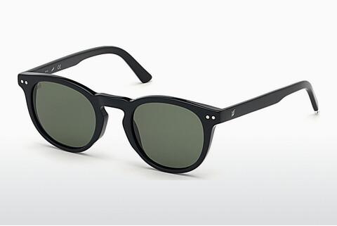 Sunglasses Web Eyewear WE0251 01N