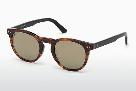 Sunglasses Web Eyewear WE0251 56C