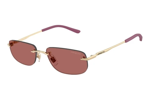 Sunglasses Arnette AN3096 748/69