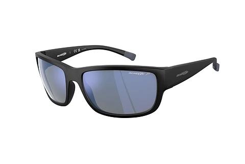 Sunglasses Arnette BUSHWICK (AN4256 01/22)