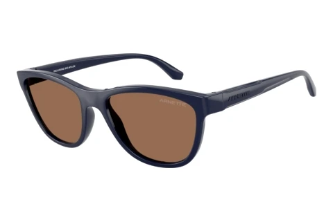 Sunglasses Arnette AN4379 276273
