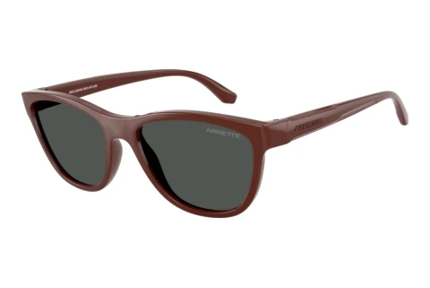 Sunglasses Arnette AN4379 304887