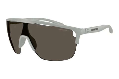 Sunglasses Arnette AN4381 3049/1